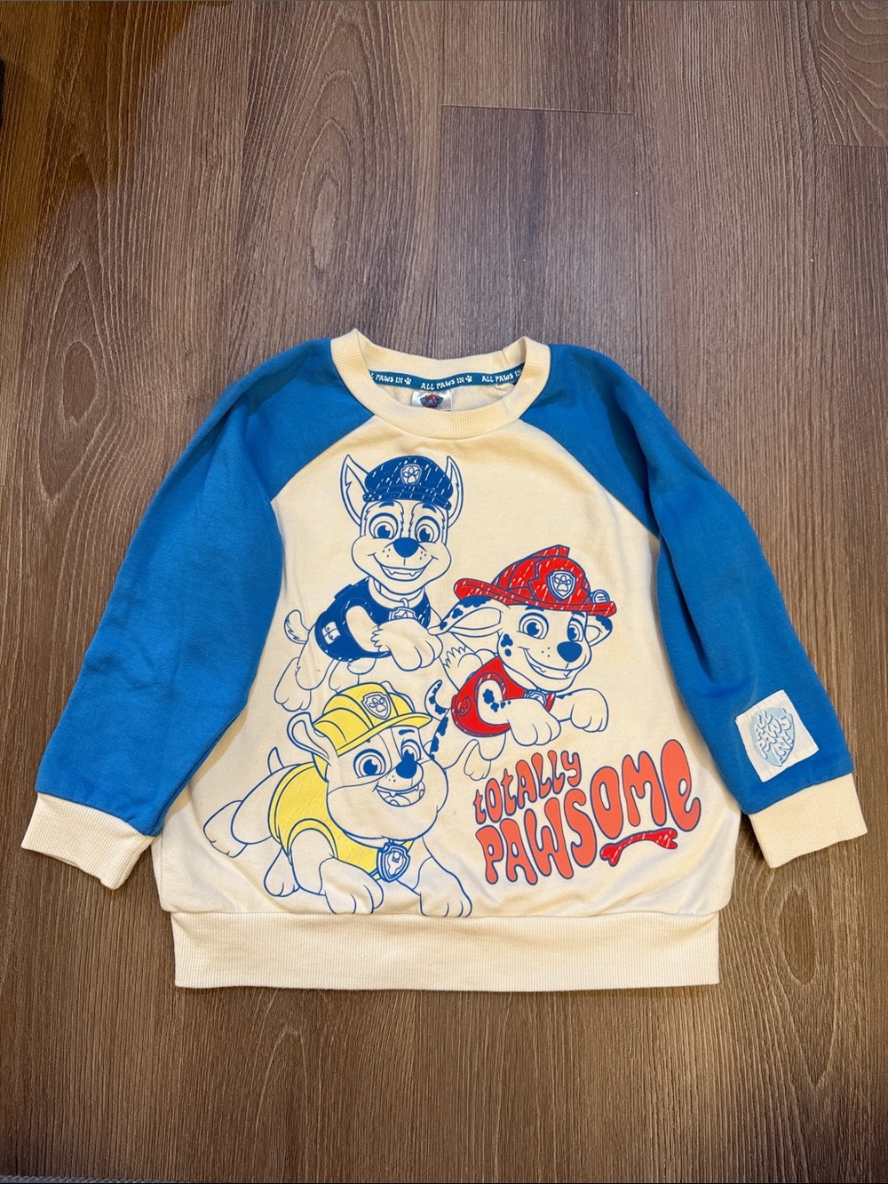 Paw Patrol 'Totally Pawsome' Blue & Cream Raglan Kids Sweatshirt
